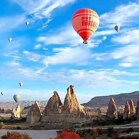 Hotel Safran Cave 3*