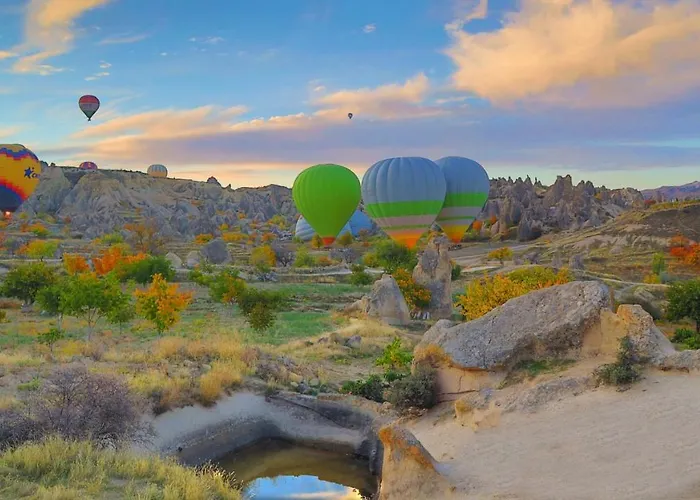 فندق سافران كايف 2*